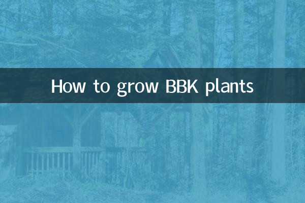 步步高植物怎么养