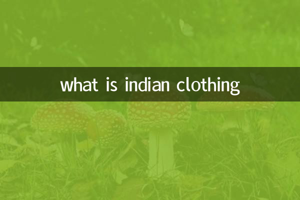 ما هي الملابس الهندية