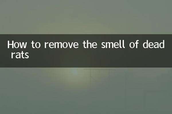 How to remove the smell of dead rats