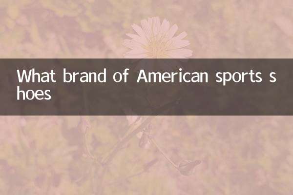 アメリカンスポーツシューズのブラン​​ド
