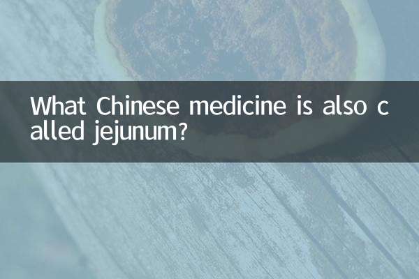 What Chinese medicine is also called jejunum?