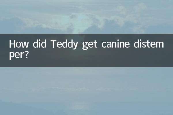 Wie bekam Teddy die Staupe?