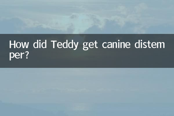 Come ha fatto Teddy a prendere il cimurro?
