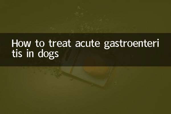 Come trattare la gastroenterite acuta nei cani