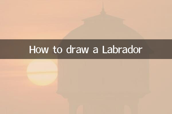 Comment dessiner un Labrador