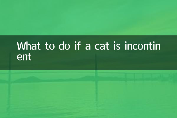O que fazer se um gato tiver incontinência