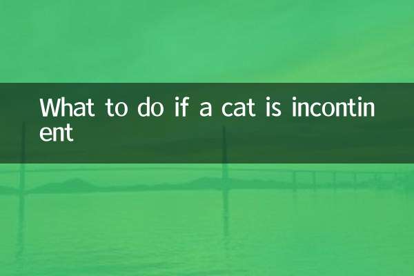 O que fazer se um gato tiver incontinência