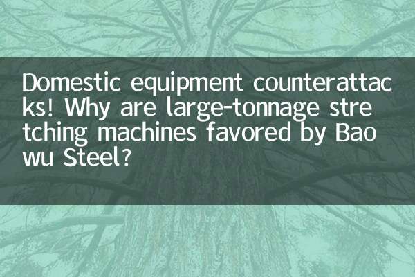 Contra-ataques de equipamentos domésticos! Por que as máquinas de estiramento de grande tonelagem são preferidas pela Baowu Steel?