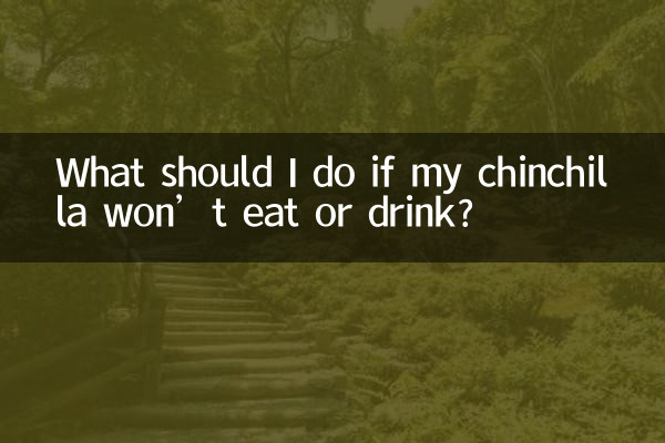 اگر میرا چنچلا نہیں کھاتا ہے تو مجھے کیا کرنا چاہئے؟