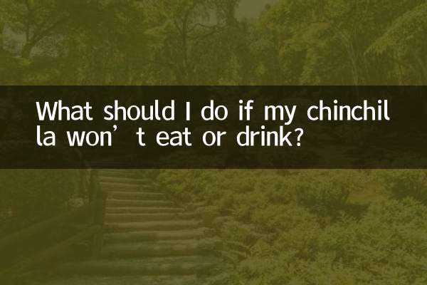 यदि मेरी चिनचिला न खायेगी न पीयेगी तो मुझे क्या करना चाहिए?