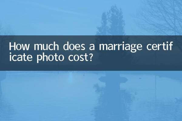 ¿Cuánto cuesta una foto del certificado de matrimonio?