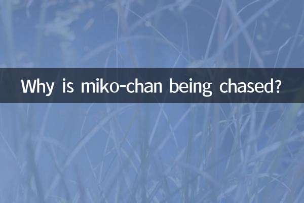 なぜみこちゃんは追われているのか？