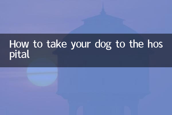 怎麼帶狗去醫院
