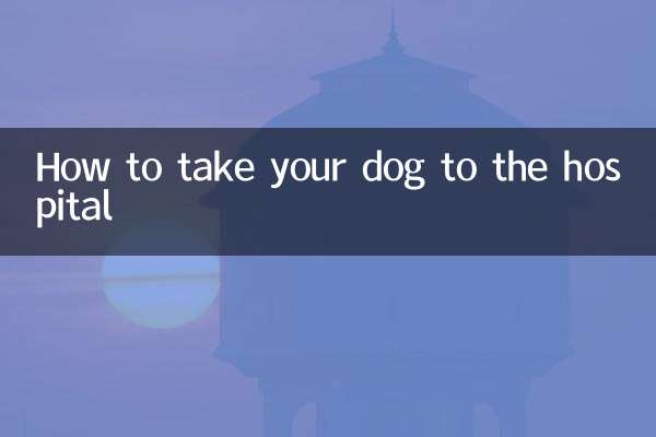 Comment emmener votre chien à l'hôpital