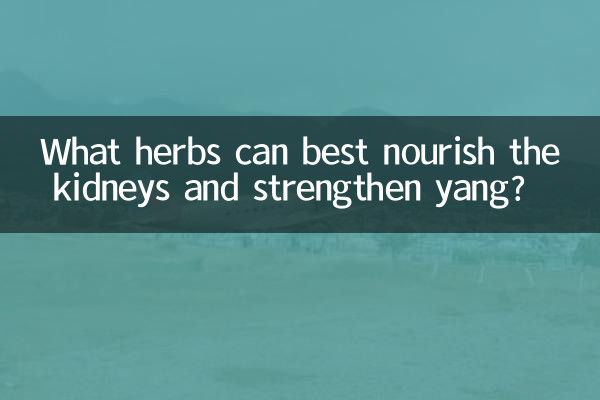Welche Kräuter können die Nieren am besten nähren und Yang stärken?