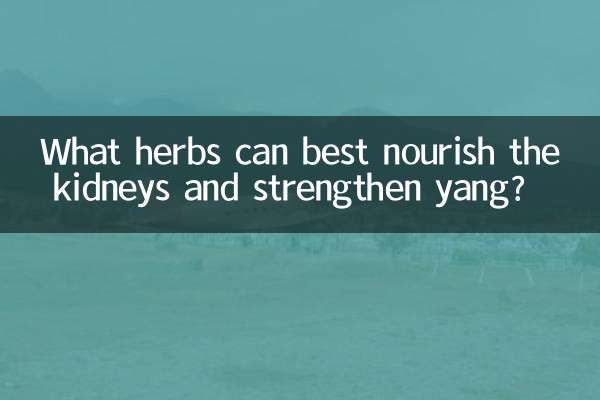 吃什麼草藥最補腎壯陽
