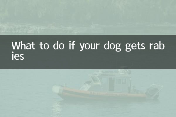 Qué hacer si tu perro contrae rabia