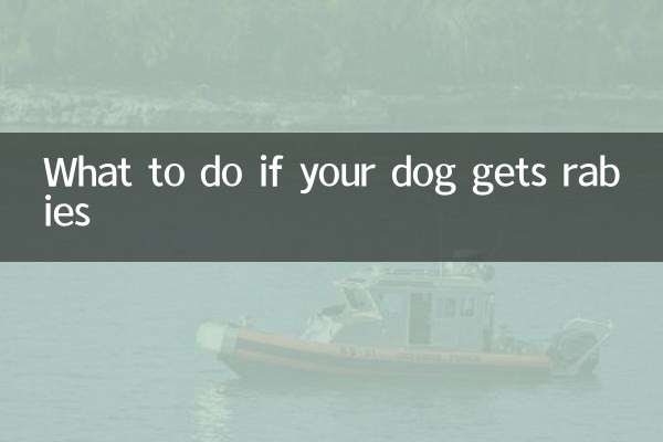 Qué hacer si tu perro contrae rabia