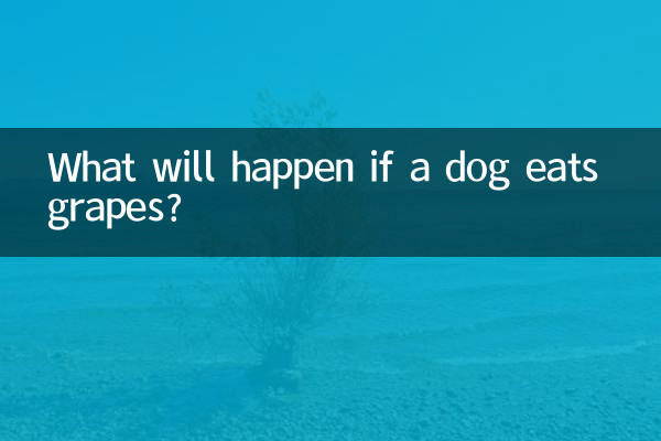 Was passiert, wenn ein Hund Weintrauben frisst?
