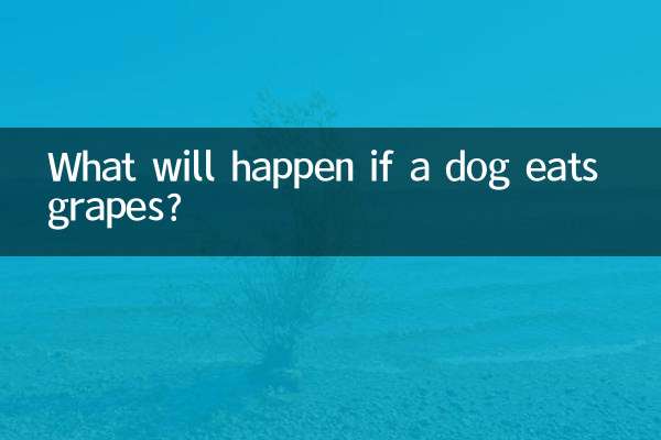 ¿Qué pasará si un perro come uvas?
