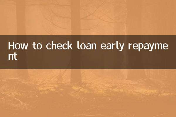 대출 조기상환 확인 방법