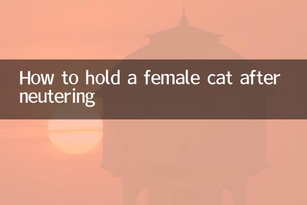 কিভাবে neutering পরে একটি মহিলা বিড়াল রাখা