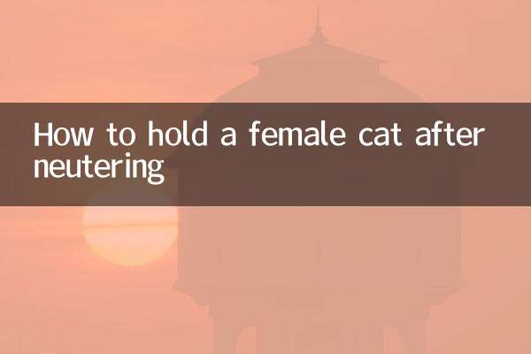 কিভাবে neutering পরে একটি মহিলা বিড়াল রাখা