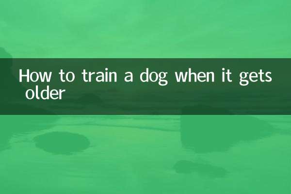 Как дрессировать собаку, когда она подрастет