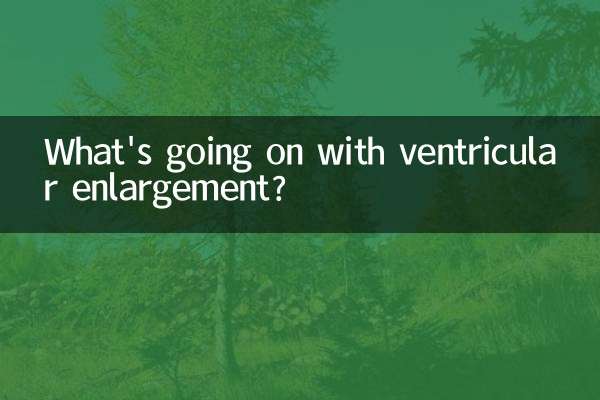 심실 확장에 무슨 일이 일어나고 있나요?