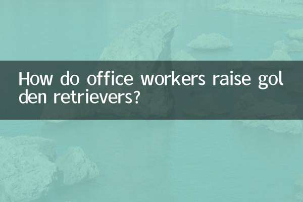 कार्यालय कर्मचारी गोल्डन रिट्रीवर्स कैसे पालते हैं?