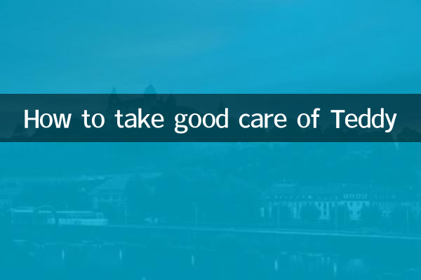 How to take good care of Teddy