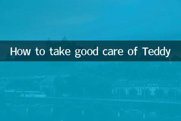 How to take good care of Teddy