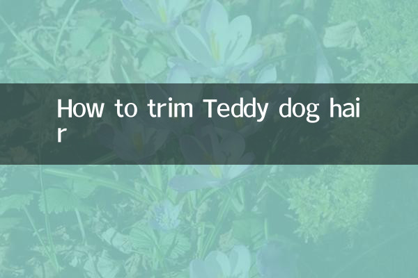 ٹیڈی کتے کے بالوں کو کیسے تراشیں