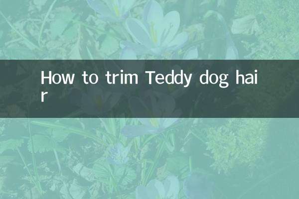 Cómo recortar el pelo del perro Teddy