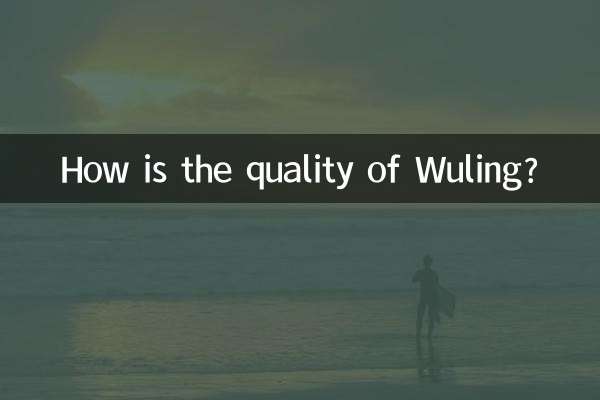 Wuling의 품질은 어떻습니까?
