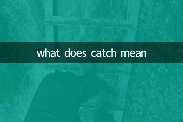 o que significa pegar