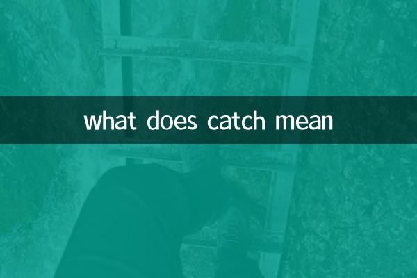 ماذا يعني الصيد