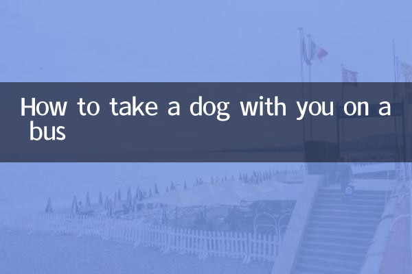 Cómo llevar un perro contigo en un autobús