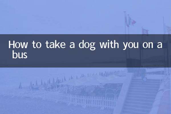Cómo llevar un perro contigo en un autobús