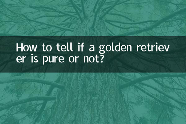 ゴールデンレトリバーが純粋かどうかを見分ける方法は?