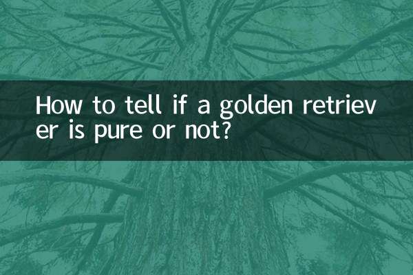 ゴールデンレトリバーが純粋かどうかを見分ける方法は？