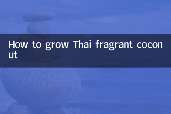 Como cultivar coco perfumado tailandês