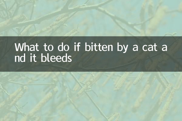 ماذا تفعل إذا عضتك قطة ونزفت؟