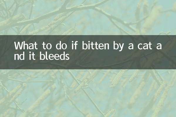 ماذا تفعل إذا عضتك قطة ونزفت؟