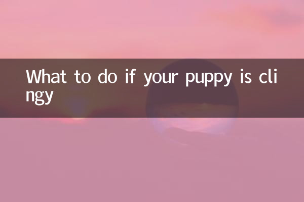 What to do if your puppy is clingy