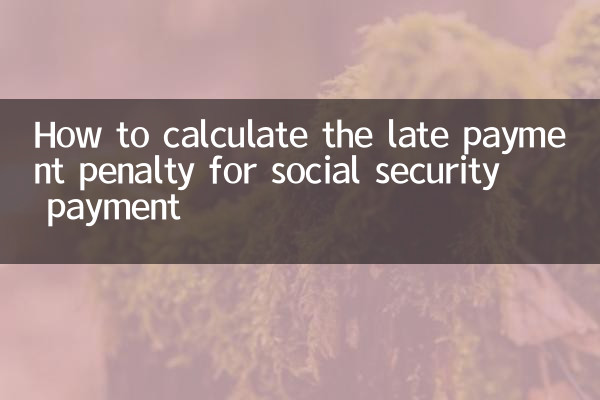 كيفية حساب غرامة التأخر في السداد لمدفوعات الضمان الاجتماعي