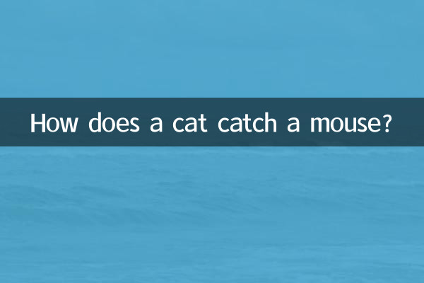 Wie fängt eine Katze eine Maus?