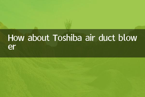 도시바 에어 덕트 블로어는 어떻습니까?