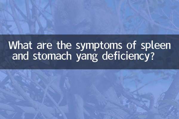 Каковы симптомы дефицита Ян в селезенке и желудке?