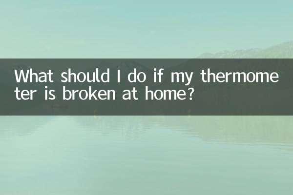 ماذا علي أن أفعل إذا تعطل مقياس الحرارة الخاص بي في المنزل؟